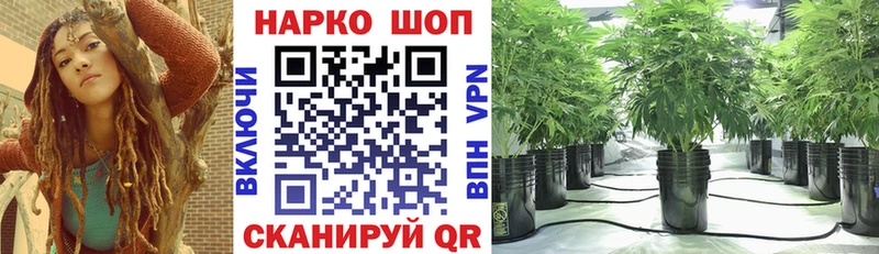 Где купить наркоту Микунь Галлюциногенные грибы  A PVP  Cocaine  Меф мяу мяу  Бошки Шишки  ГАШ 