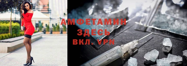 прущие грибы Корсаков