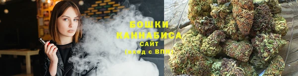 прущие грибы Корсаков