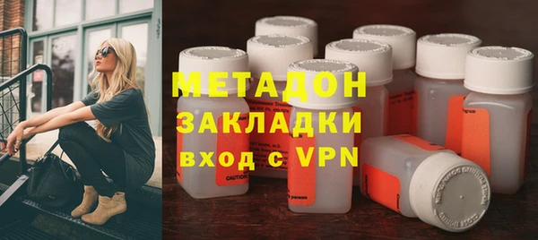 прущие грибы Корсаков