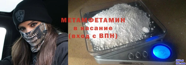 прущие грибы Корсаков