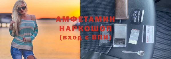 прущие грибы Коряжма