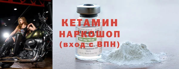 прущие грибы Корсаков