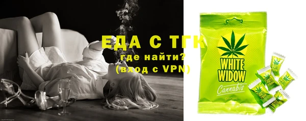 прущие грибы Коряжма