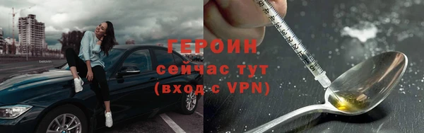 прущие грибы Корсаков