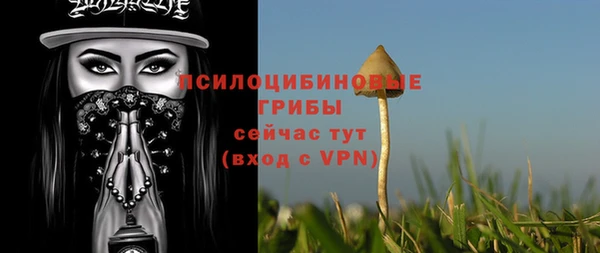 прущие грибы Корсаков