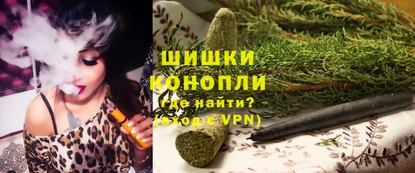 прущие грибы Коряжма
