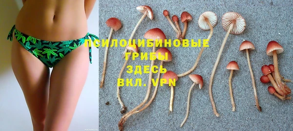 мяу мяу мука Костерёво