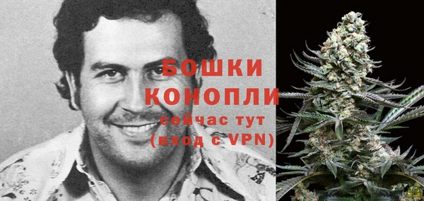 мяу мяу мука Костерёво