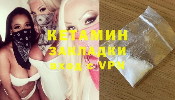 прущие грибы Коряжма