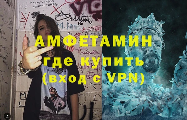 прущие грибы Корсаков