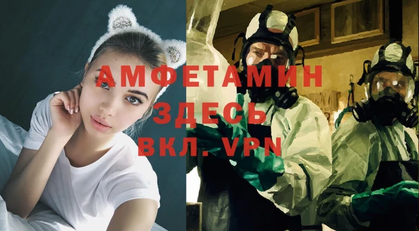 прущие грибы Корсаков