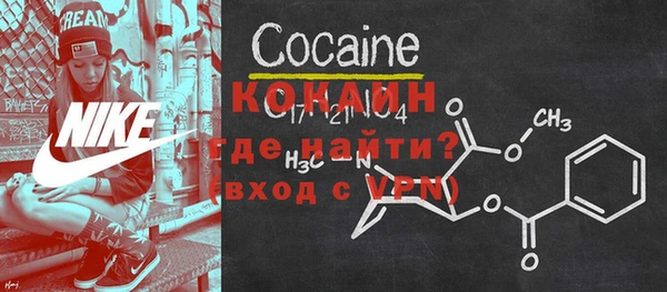 прущие грибы Корсаков