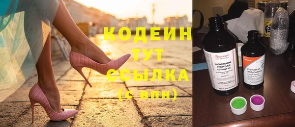 прущие грибы Коряжма