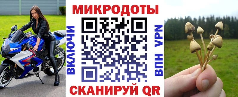 закладка  ОМГ ОМГ ссылка  Псилоцибиновые грибы прущие грибы  Микунь 